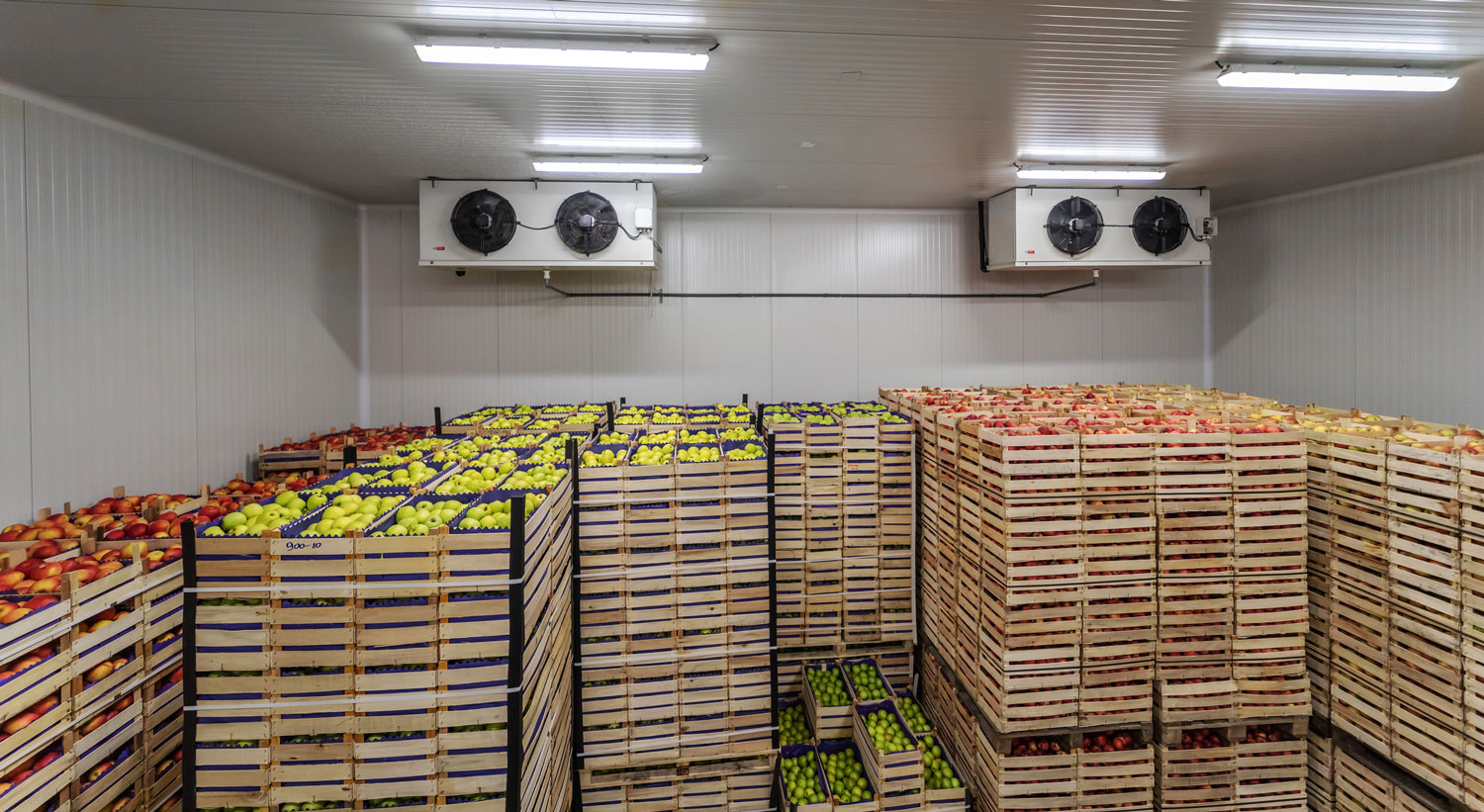 Air Compressor Solutions Refrigeration Cold Storage Food Industry