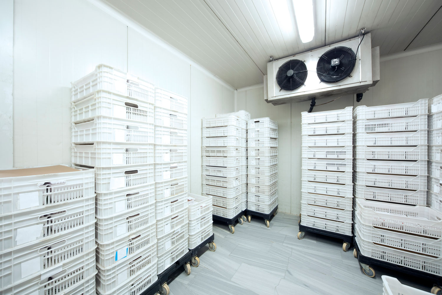 Choosing Titan Air Compressors Reliable Refrigeration Systems